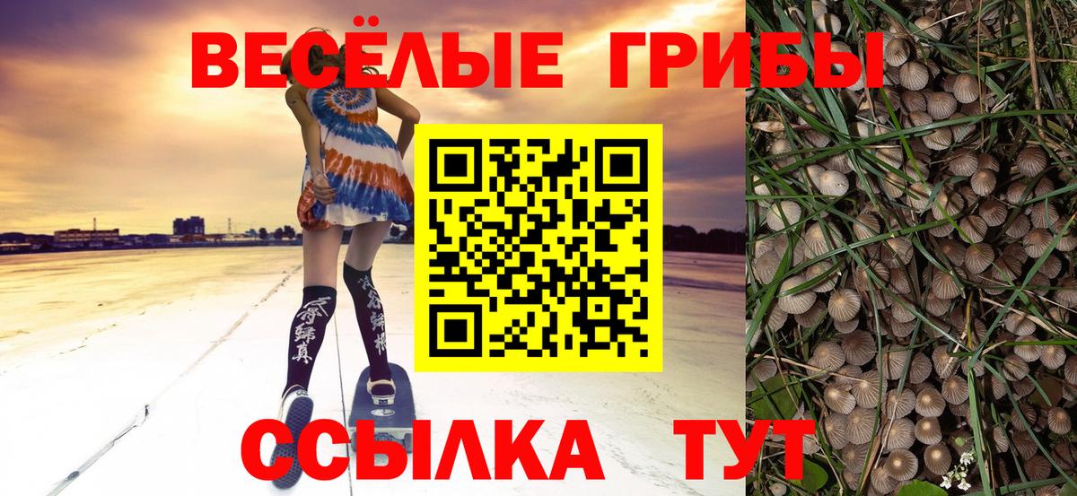 Псилоцибиновые грибы мицелий Крымск