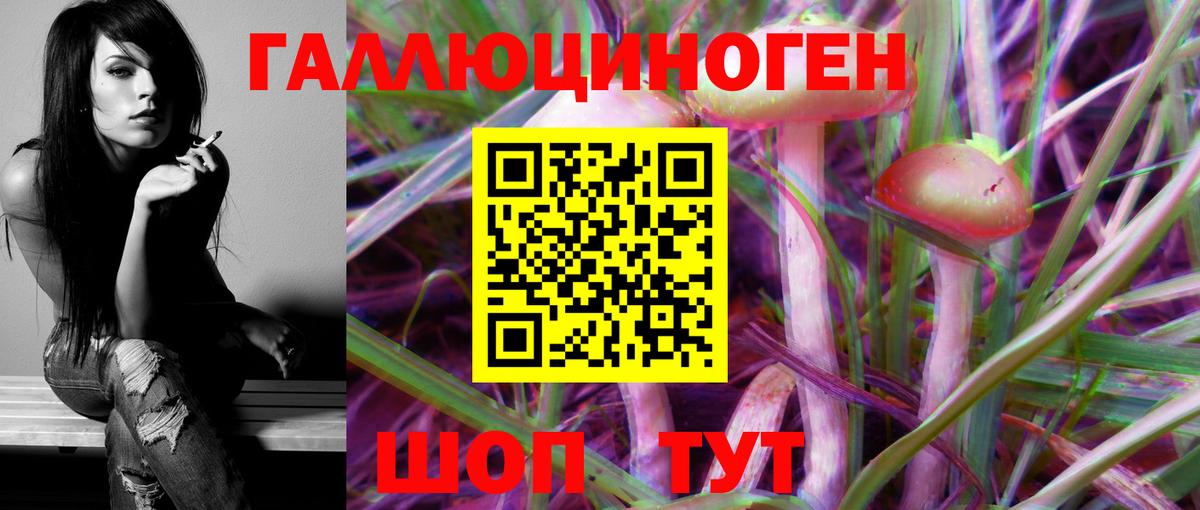 Галлюциногенные грибы Psilocybe  Вход с VPN  Псилоцибиновые грибы мицелий  Крымск 